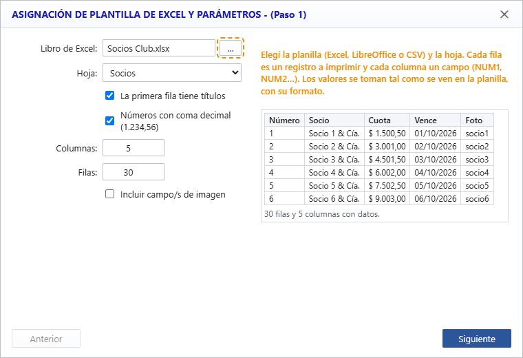 Asistente de datos mostrando una planilla de Excel con montos y fechas